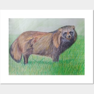 Raccoon dog Posters and Art